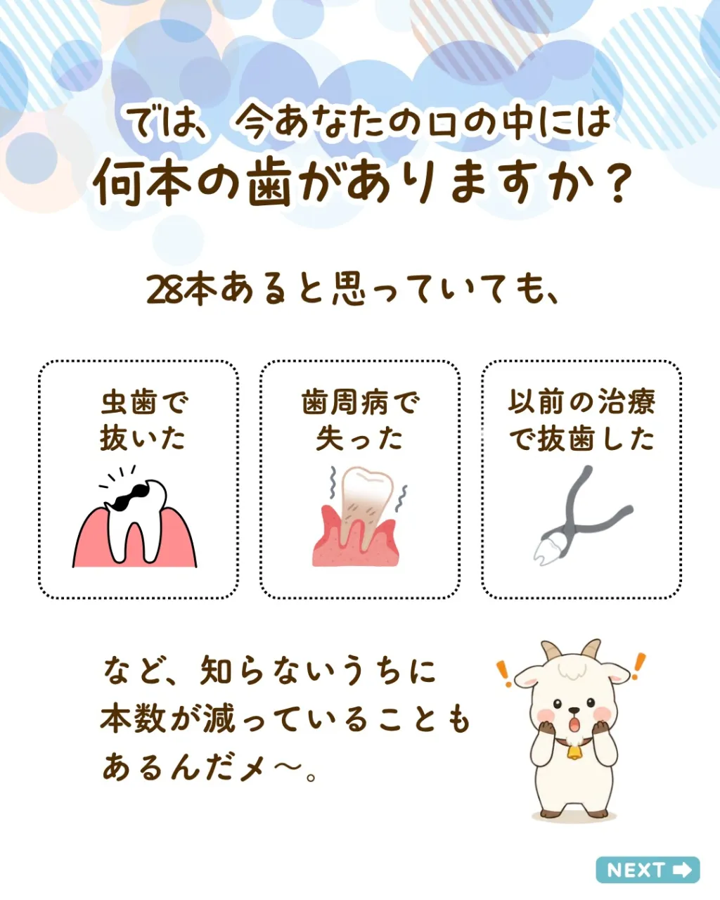 🦷 大人の歯、全部で何本あるか知っていますか？