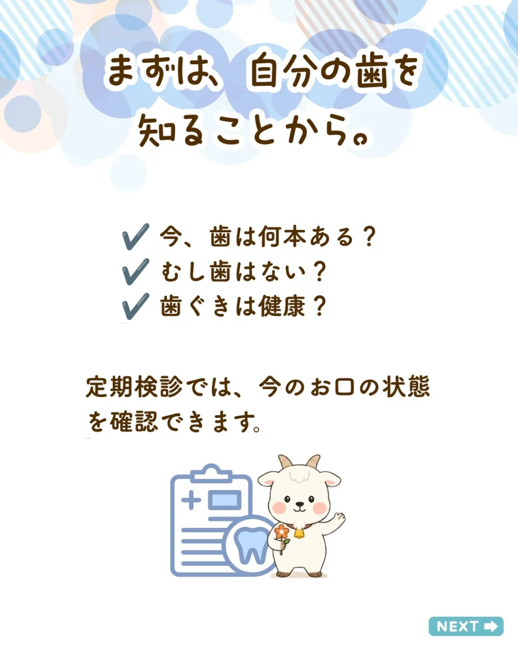 🦷 大人の歯、全部で何本あるか知っていますか？